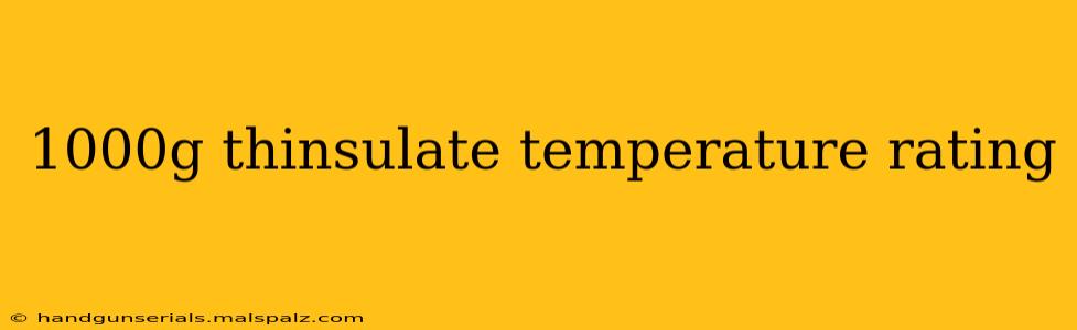 1000g thinsulate temperature rating