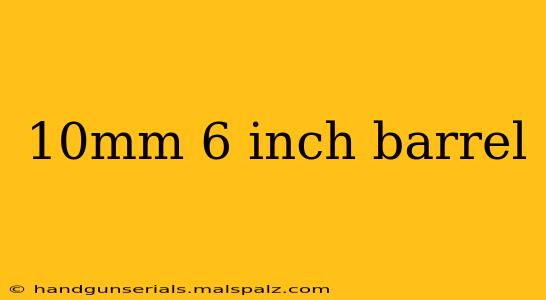 10mm 6 inch barrel