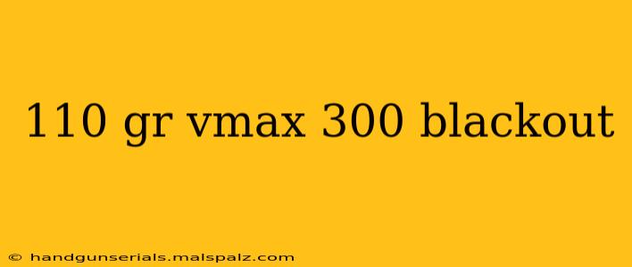 110 gr vmax 300 blackout