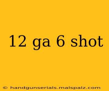 12 ga 6 shot