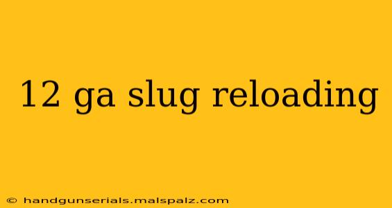 12 ga slug reloading