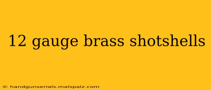 12 gauge brass shotshells