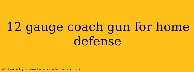 12 gauge coach gun for home defense