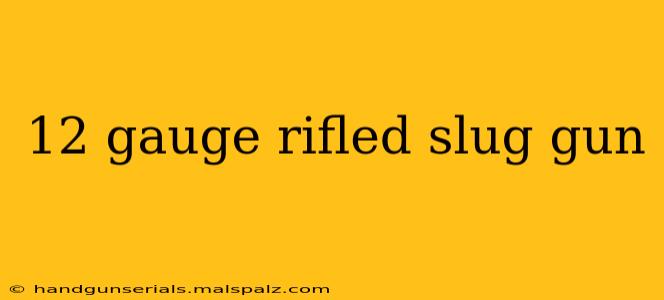 12 gauge rifled slug gun