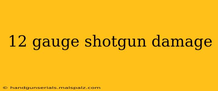 12 gauge shotgun damage