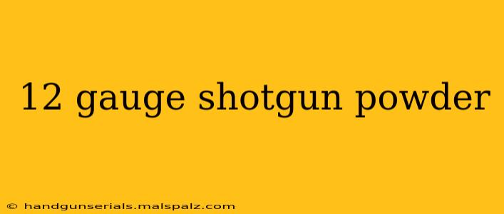 12 gauge shotgun powder