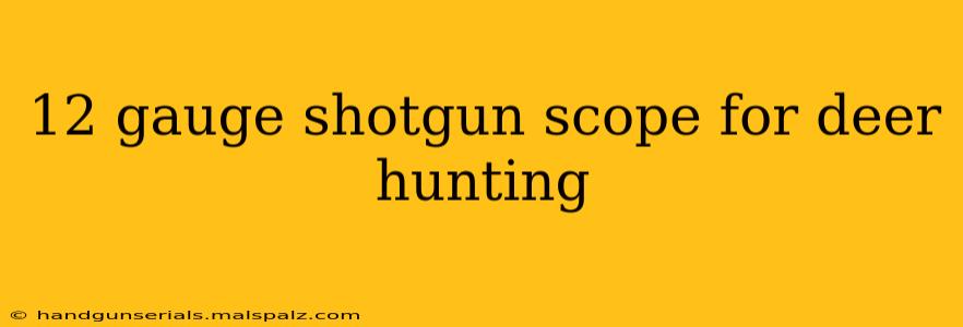 12 gauge shotgun scope for deer hunting