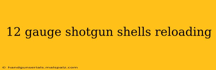 12 gauge shotgun shells reloading