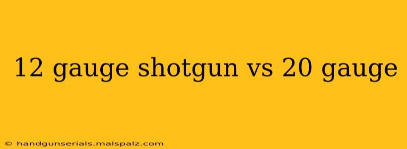 12 gauge shotgun vs 20 gauge