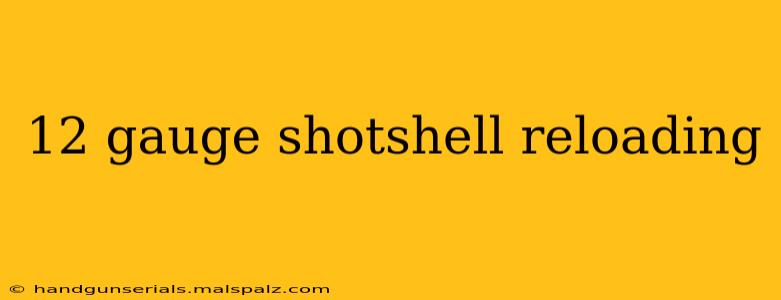 12 gauge shotshell reloading