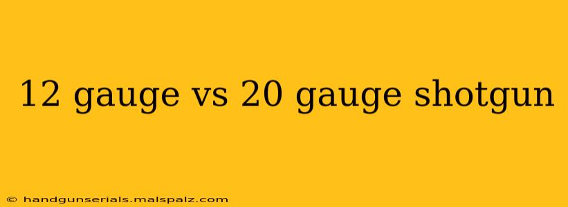 12 gauge vs 20 gauge shotgun