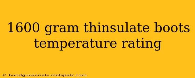 1600 gram thinsulate boots temperature rating