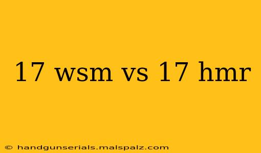 17 wsm vs 17 hmr