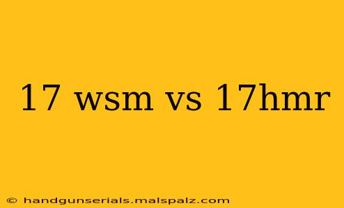 17 wsm vs 17hmr