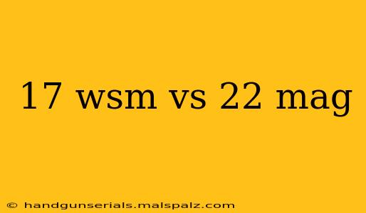 17 wsm vs 22 mag