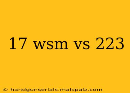 17 wsm vs 223