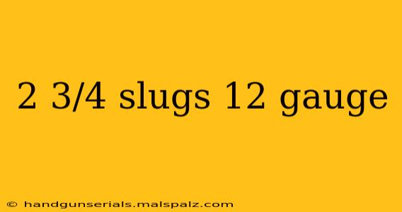 2 3/4 slugs 12 gauge