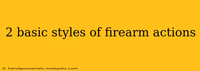 2 basic styles of firearm actions