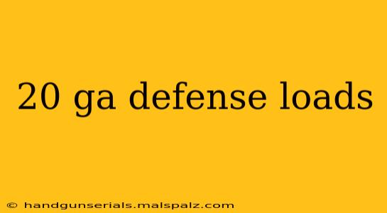 20 ga defense loads