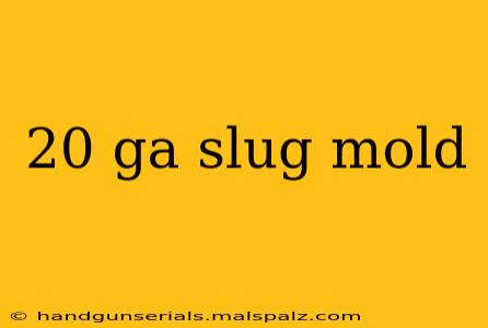 20 ga slug mold