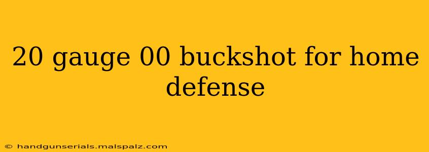 20 gauge 00 buckshot for home defense