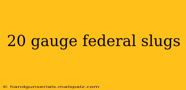 20 gauge federal slugs