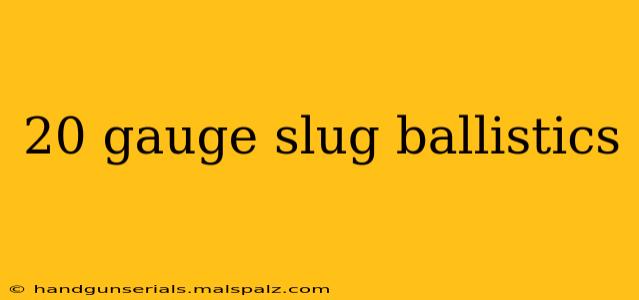 20 gauge slug ballistics