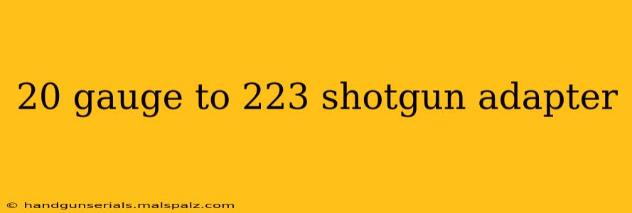 20 gauge to 223 shotgun adapter