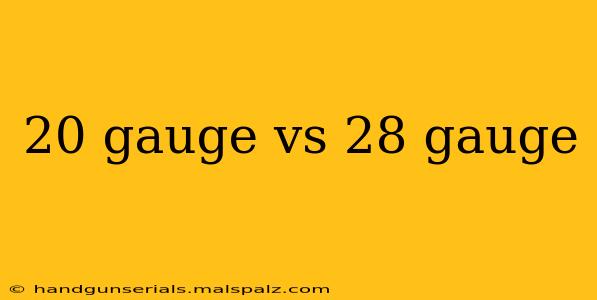 20 gauge vs 28 gauge