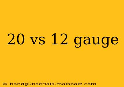 20 vs 12 gauge