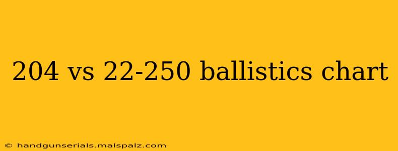 204 vs 22-250 ballistics chart