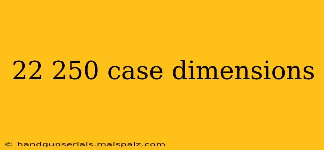 22 250 case dimensions