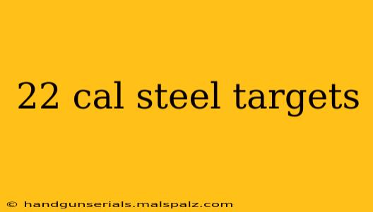 22 cal steel targets