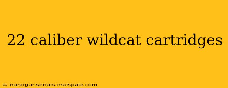 22 caliber wildcat cartridges