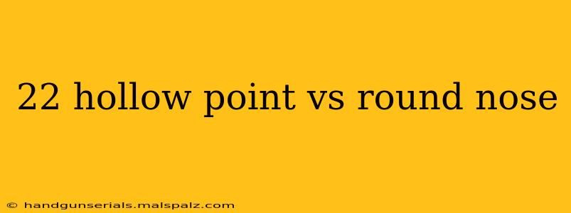 22 hollow point vs round nose