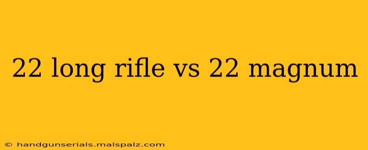 22 long rifle vs 22 magnum