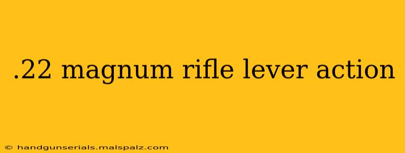 .22 magnum rifle lever action