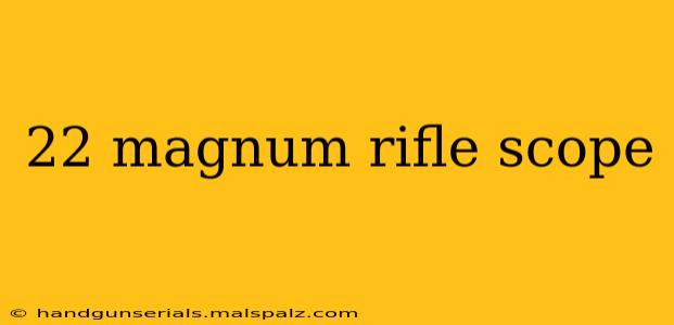 22 magnum rifle scope