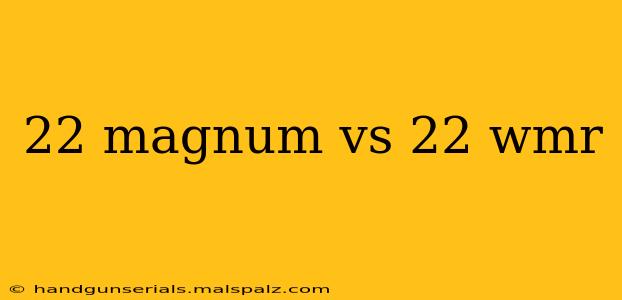 22 magnum vs 22 wmr