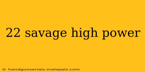 22 savage high power