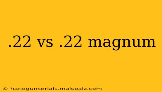 .22 vs .22 magnum