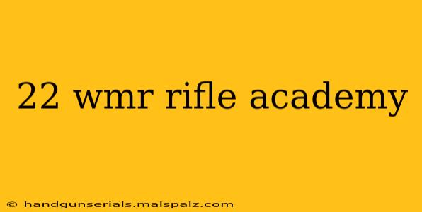 22 wmr rifle academy