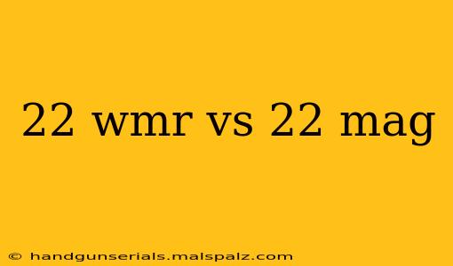 22 wmr vs 22 mag