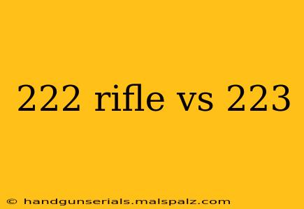 222 rifle vs 223