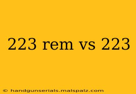 223 rem vs 223