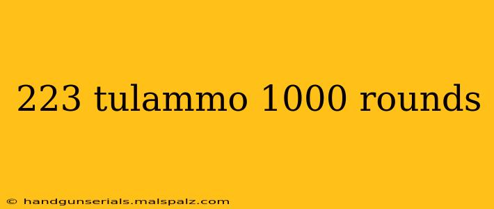 223 tulammo 1000 rounds