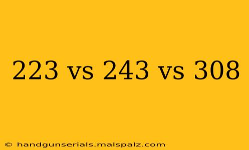 223 vs 243 vs 308