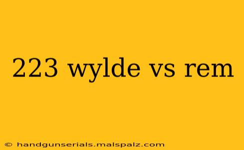 223 wylde vs rem