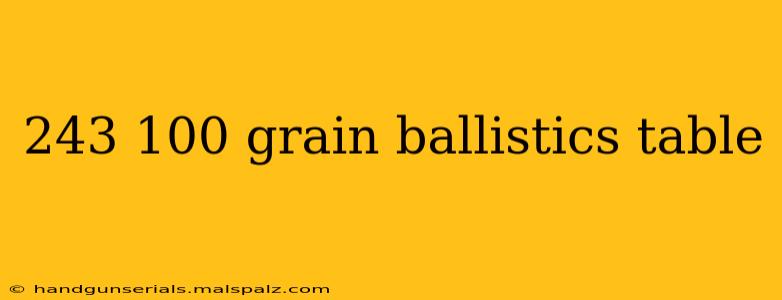 243 100 grain ballistics table