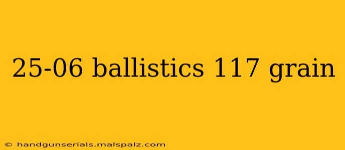 25-06 ballistics 117 grain